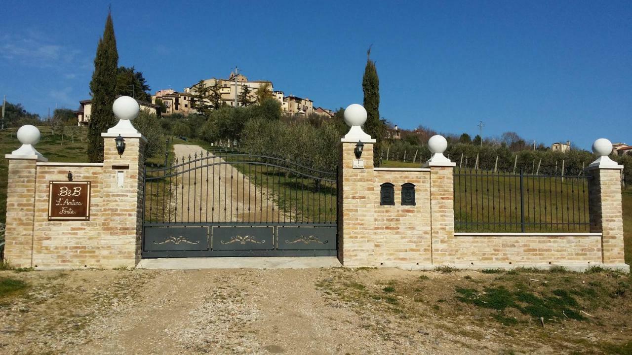 B&B L' Antica Fonte Spinetoli Eksteriør billede